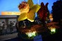 Thumbs/tn_Bloemencorso 2015 155.jpg